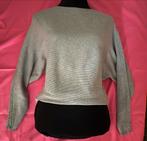 Gloednieuw grijze trui. Cotton Club, Kleding | Dames, Maat 38/40 (M), Nieuw, Ophalen of Verzenden, Cotton Club