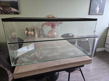 Terrarium/ hamsterkooi met schade, maar zeker nog bruikbaar. beschikbaar voor biedingen