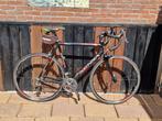 Sensa Umbria, Fietsen en Brommers, Fietsen | Racefietsen, 28 inch, Gebruikt, Carbon, 57 tot 61 cm