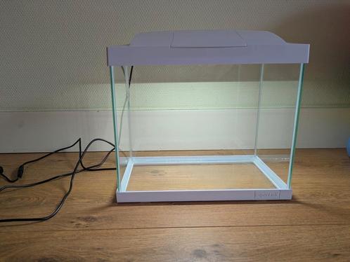 Aquarium met starterspakket, Dieren en Toebehoren, Vissen | Aquaria en Toebehoren, Zo goed als nieuw, Leeg aquarium, Ophalen