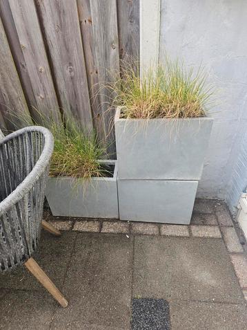 10 stuks dezelfde Plantenbakken  beschikbaar voor biedingen