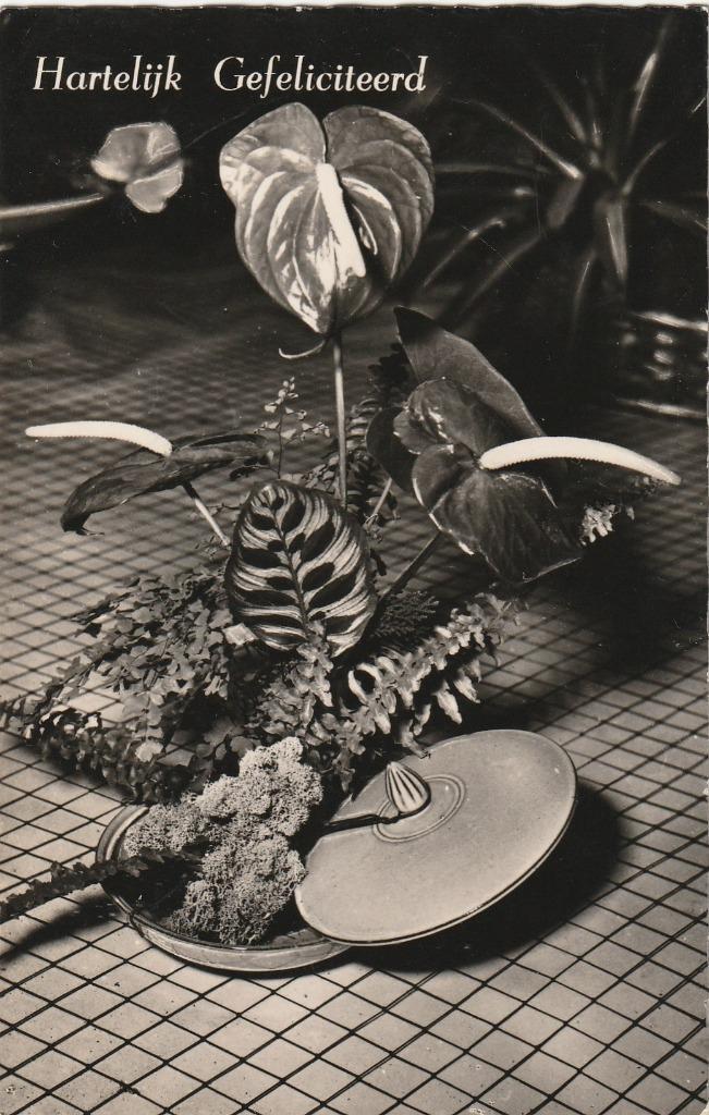 BLOEM BLOEMEN JAREN 50-60 ZEER MOOIE OUDE KAART KJ454, Verzamelen, Ansichtkaarten | Themakaarten, Gelopen, 1940 tot 1960, Overige thema's