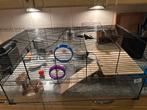 Hamsterkooi inclusief toebehoren, Kooi, Zo goed als nieuw, Hamster, 75 tot 110 cm