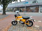 Honda Monkey 125cc - 2019 - Prachtige Staat!, Ophalen of Verzenden