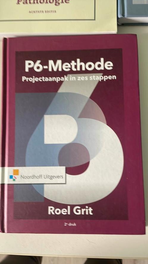 Roel Grit - Projectaanpak in zes stappen, Boeken, Wetenschap, Zo goed als nieuw, Ophalen