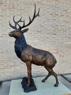 Bronzen groot hert hier aan 2650 ipv 3850 aantoonbaar TOP!!!, Tuin en Terras, Tuinbeelden, Ophalen of Verzenden, Nieuw, Overige materialen