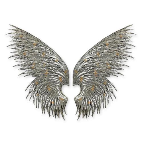 Toffe wanddecoratie engelen vleugels, nieuw uit de doos, Huis en Inrichting, Woonaccessoires | Wanddecoraties, Nieuw, Ophalen