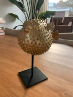 Decoratieve Kogelvis op Standaard, Ophalen of Verzenden, Zo goed als nieuw, Metaal, Minder dan 50 cm
