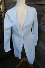 Vest lichtblauw/ zilver Didi mt XXL Vaste prijs, Kleding | Dames, Blauw, Maat 46/48 (XL) of groter, Didi, Ophalen of Verzenden