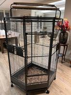 Vogelkooi, Ophalen, Zo goed als nieuw, Metaal, Vogelkooi