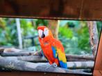 4K Ultra HD Philips Smart Tv 65 inch met Ambilight, Audio, Tv en Foto, Televisies, Philips, LED, Ophalen of Verzenden, Zo goed als nieuw