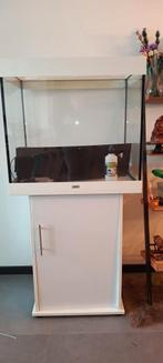 Juwel aquarium Lido 200, Dieren en Toebehoren, Ophalen, Leeg aquarium
