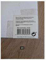 Houten kersthangers rode naturel ster, Diversen, Kerst, Evora, Onbekend, Nieuw, Ophalen of Verzenden