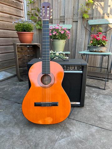 Akoestische gitaar  beschikbaar voor biedingen