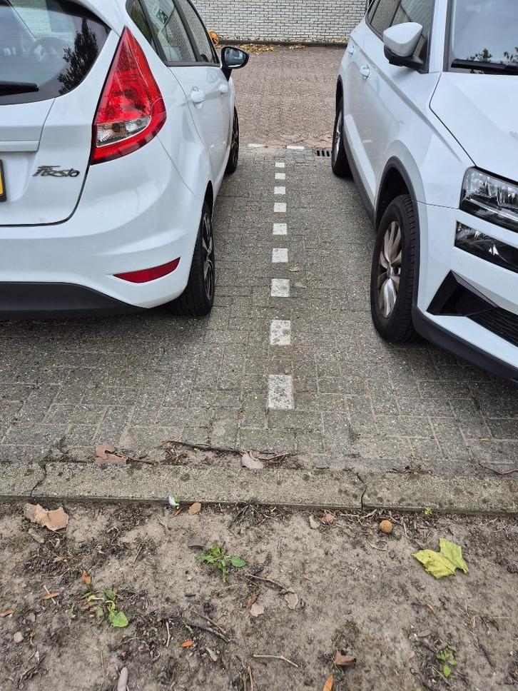 straatwerk, Diensten en Vakmensen, Tuinmannen en Stratenmakers, Bestrating