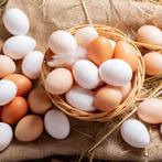 Eieren voor om op te eten, Dieren en Toebehoren, Ophalen of Verzenden