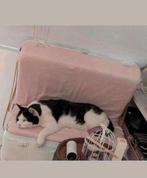 Unieke katten stoel (excl 🐱 ), Ophalen, Gebruikt, Overige