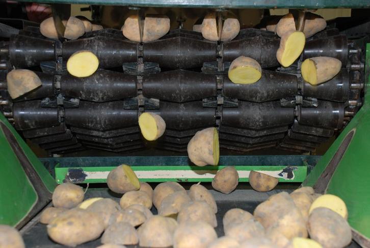 Te huur: pootgoedsnijder, Zakelijke goederen, Agrarisch | Werktuigen, Akkerbouw, Zaaien, Planten of Poten, Ophalen of Verzenden
