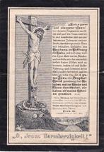 Welachtbaren Peter L. WEGMANN  1864-1894, Verzenden, Bidprentje