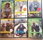 Safaripark beekse bergen Aap bij de dokter seizoe1 t/m 6, Gebruikt, Alle leeftijden, Ophalen of Verzenden, Boxset