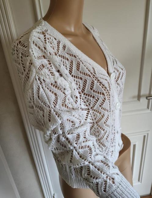 Kanten truitje vestje blouse van Terra di Siena  Nieuw , weg, Kleding | Dames, Blouses en Tunieken, Zo goed als nieuw, Maat 36 (S)