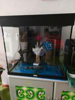 2 x aquarium groot jewel leeg en klein met, Dieren en Toebehoren, Vissen | Aquaria en Toebehoren, Ophalen, Gebruikt, Gevuld zoetwateraquarium
