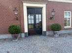 Twee grote Ilex Crenata (>70cm)in handgemaakte stenen potten, Vaste plant, Bloeit niet, Halfschaduw, Ophalen