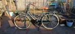 damesfiets cortina, Fietsen en Brommers, Fietsen | Dames | Damesfietsen, Overige merken, Versnellingen, Ophalen of Verzenden, 53 tot 56 cm