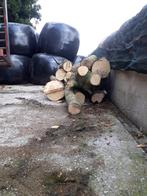 Essen hout, Minder dan 3 m³, Ophalen of Verzenden, Essenhout, Stammen