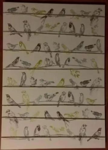 Leuk memobord vogels, vogeltjes; kaartenbord touw kaartjes beschikbaar voor biedingen
