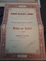 Aandeel Mijnbouw Maatschappij Suriname 1904, Ophalen of Verzenden, Voor 1920, Aandeel