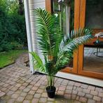 Prachtige plant plastic, Ophalen, Vaste plant, Overige soorten, Volle zon