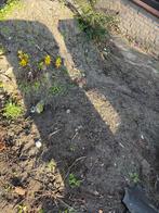 Zwart zand, Tuin en Terras, Zand, Ophalen, Overige typen