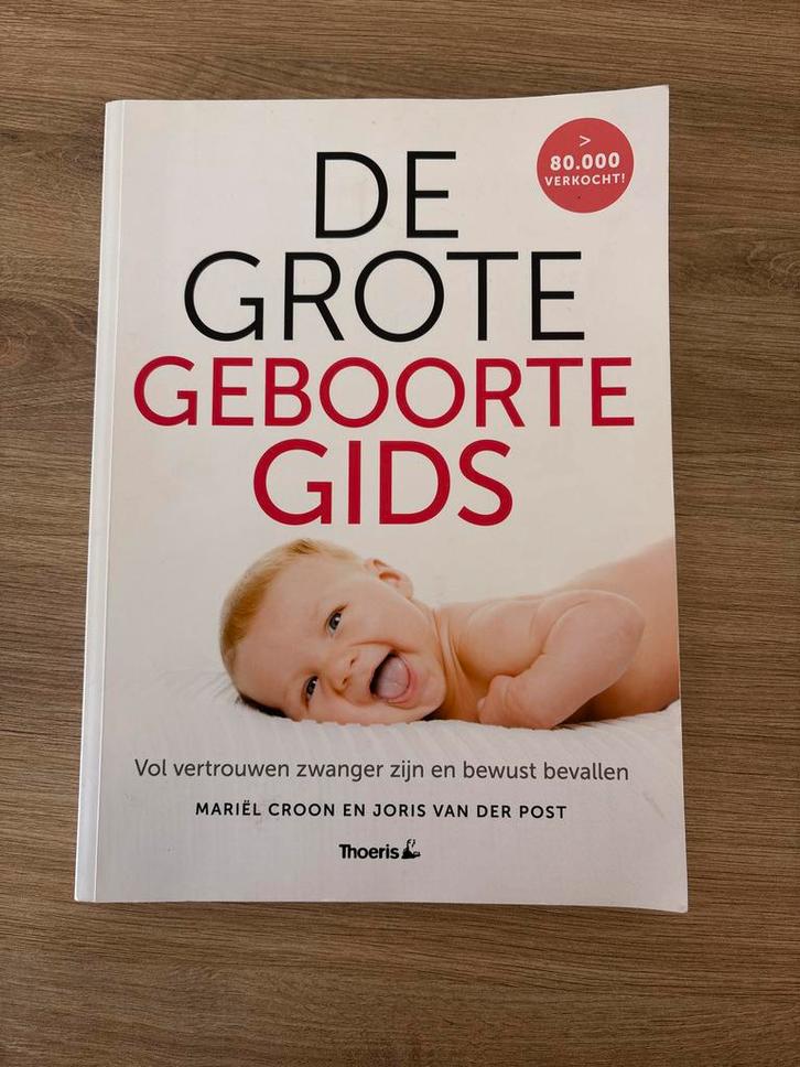 De Grote Geboorte Gids - Zwangerschap & Bevalling, Boeken, Zwangerschap en Opvoeding, Zwangerschap en Bevalling, Ophalen of Verzenden
