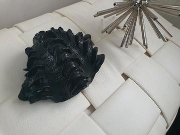 Zwarte XL decoratie schelp XL! (ERIC KUSTER) beschikbaar voor biedingen