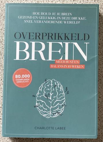 Overprikkeld brein - Charlotte Labee beschikbaar voor biedingen