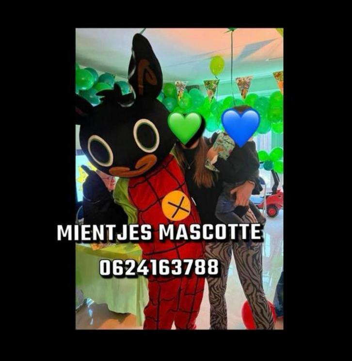 Bing mascotte te huur, Hobby en Vrije tijd, Kostuums, Theaterbenodigdheden en LARP, Zo goed als nieuw, Ophalen of Verzenden