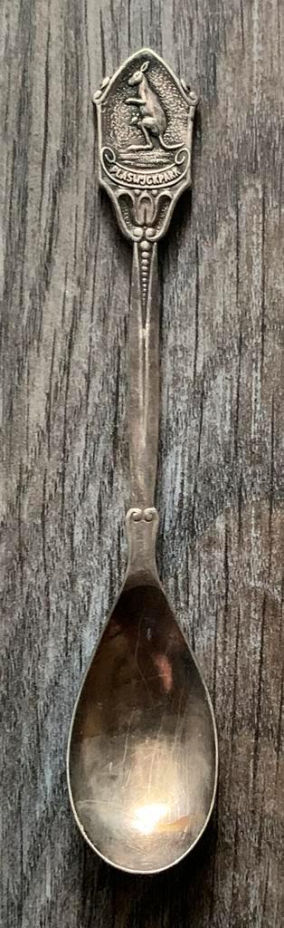 PlasWijckPark Theelepel, Tickets en Kaartjes, Recreatie | Pretparken en Attractieparken