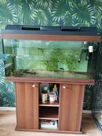 Mooi aquarium te koop, inclusief kast., Dieren en Toebehoren, Vissen | Aquaria en Toebehoren, Zo goed als nieuw, Ophalen, Gevuld zoetwateraquarium