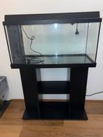 Aquariumset + Meubel, Dieren en Toebehoren, Ophalen of Verzenden, Leeg aquarium