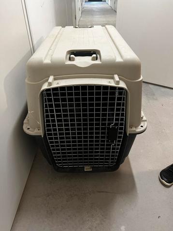 Transportbox XXL beschikbaar voor biedingen