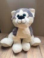 XXL Knuffel Husky Hond - 90cm - ZGAN, Ophalen of Verzenden, Zo goed als nieuw, Hond