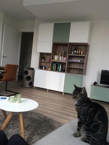 Ikea Pax Kast/TV Meubel Combinatie