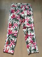 Para Mi broek capri Meya nieuw met kaartje, Maat 38/40 (M), Para Mi, Nieuw, Ophalen of Verzenden