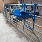 Kopheffer voor koeien