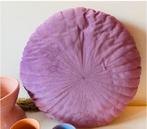 Rond lila kussen, Huis en Inrichting, Woonaccessoires | Kussens, Ophalen of Verzenden, Zo goed als nieuw, Rond