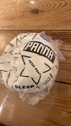 Panna ko bal, Maat XL, Ophalen of Verzenden, Zo goed als nieuw, Bal