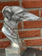kop beeld windhond whippet hazewindhond, Antiek en Kunst, Kunst | Beelden en Houtsnijwerken, Ophalen of Verzenden