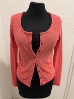 Roze Vest Eksept Maat XS, Ophalen of Verzenden, Zo goed als nieuw, Eksept, Roze