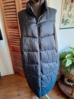 Bodywarmer lang jas 56 zwart, Ophalen of Verzenden, Zo goed als nieuw, Zwart, Trui of Vest